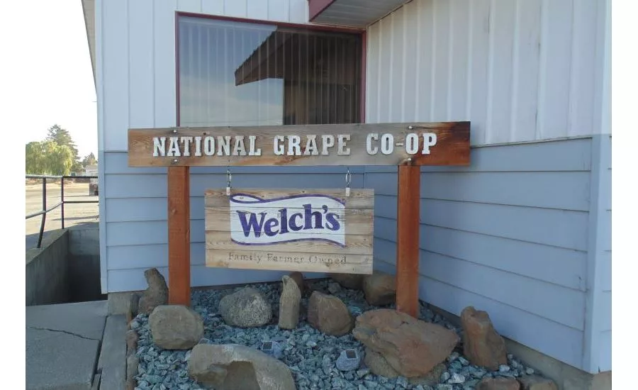 Crash course on Concord grapes: A look inside Welch’s process in Washington State