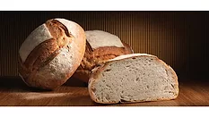 Demand for clean label drives new innovative dough conditioners