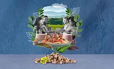 DSM launches Vertis CanolaPRO plant protein, free from major allergens