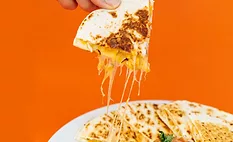 cheese quesadilla