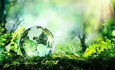 Environment stock