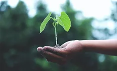Mondelēz International releases Snacking Made Right ESG report