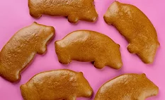 Strictly From Scratch debuts snack platters